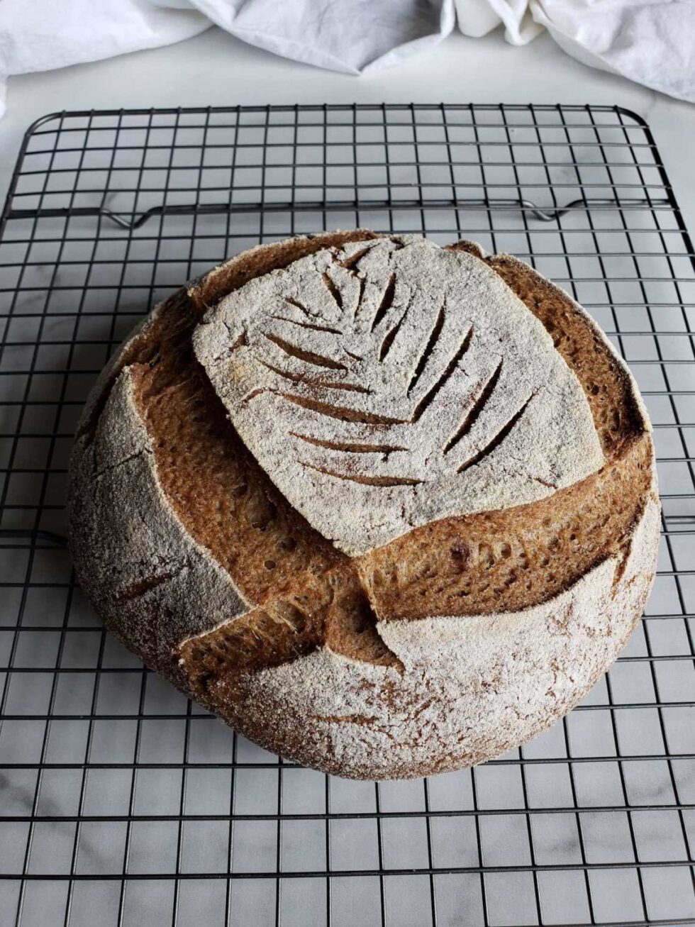 gluten-free-sourdough-bread-recipe-stonehauss